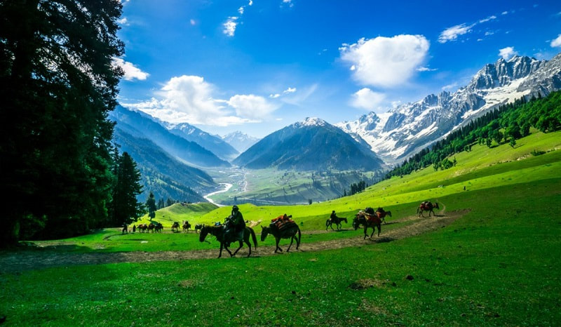 Must-Visit Tourist Attractions for an Unforgettable Kashmir Trip